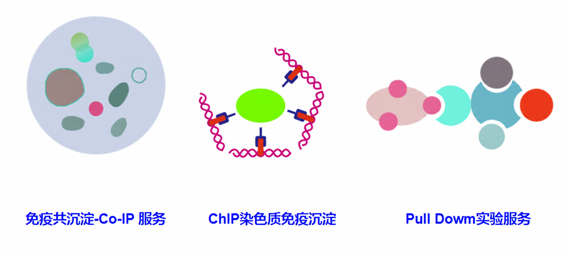 免疫学检测服务（配图 1）